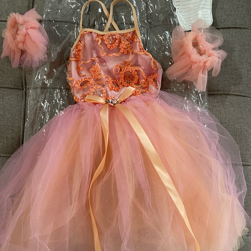 PRICE DROP!! Girls’ Princess Ballet Costume/Dress